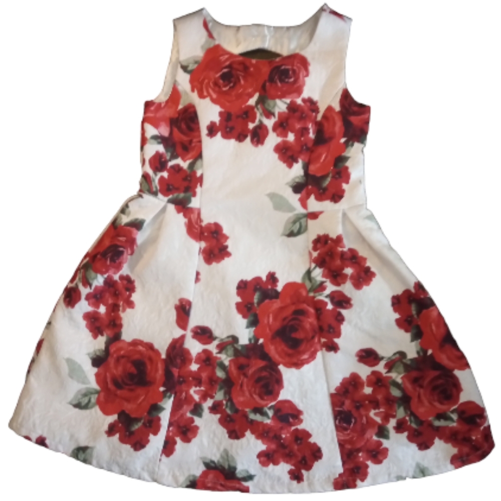 Girls Size 5 The Children's Place Dress
